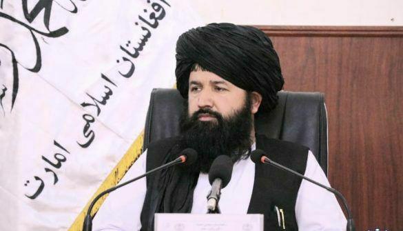 طالبان,وزیر تحصیلات عالی طالبان