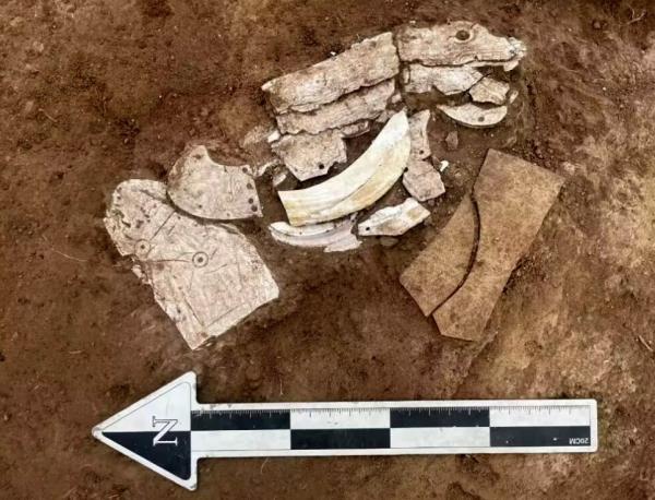 کشف اژد‌های صدفی ۶ هزار ساله در چین,کشفیات جدید در چین