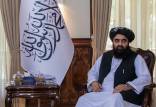 وزیر امور خارجه طالبان,کنایه وزیر امور خارجه طالبان به ایران