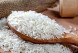 برنج ایرانی,وارد کنندگان برنج