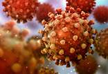 ویروس کرونا,هشدار سازمان جهانی بهداشت در خصوص موج جدید کرونا