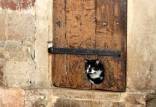 درب گربه‌رو,قدیمی‌ترین درب گربه‌رو جهان