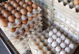 تخم مرغ,درخواست افزایش ۱۰ هزار تومانی قیمت تخم مرغ از دولت