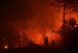 آتش سوزی هاوایی,کشته شدگان در آتش سوزی هاوایی آمریکا