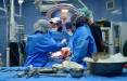 جراحی سر,جراحی موفقیت‌آمیز پیوند سر توسط پزشکان ایرانی‌