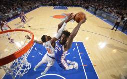 نرول پله,ستاره NBA در لیگ بسکتبال ایران