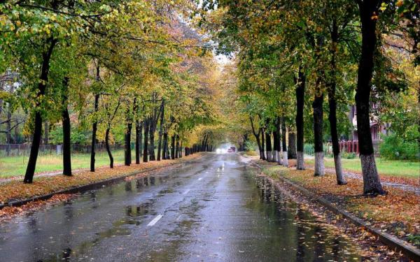 بارش باران در کشور,پاییز پر بارش در ایران