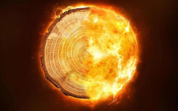 طوفان خورشیدی,کشف طوفان خورشیدی از آثار به‌جامانده بر حلقه‌های درختان