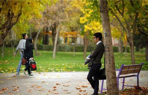 زندگی افراد تک‌نفره در ایران,زندگی افراد تنها در ایران