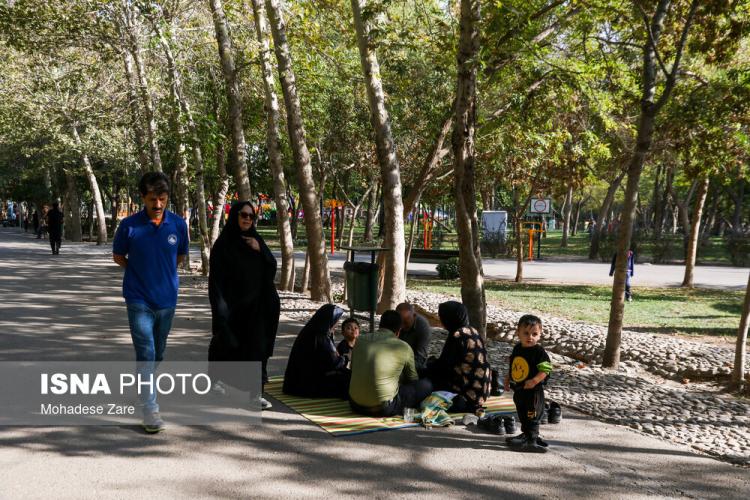 تصاویر زلزله افغانستان,تصاویر زلزله در هرات,عکس های مردم مشهد پس از زلزله افغانستان