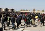 افغانی ها در ایران,حضور ۵ تا ۸ میلیون مهاجر در ایران