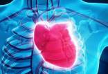 یائسگی,خطر جدی برای سلامت قلب در زنان دوران یائسگی