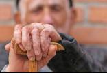 افزایش سالمندان در ایران,افزایش ۲ برابری سالمندان کشور طی ۲۰ سال آینده