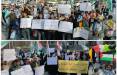درخواست دانشجویان اعزام به غزه,گاف تاریخی دانشجویان انقلابی برای درخواست اعزام به غزه