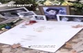 فیلم/ اول مهرماه؛ زاد روز استاد محمدرضا شجریان