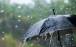 آخرین وضعیت آب و هوایی در کشور,بارش باران در نقاط مختلف کشور