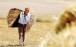 کشاورزان,مطالبات باقیمانده کشاورزان و وعده‌های سر خرمن دولت
