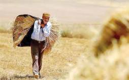 کشاورزان,مطالبات باقیمانده کشاورزان و وعده‌های سر خرمن دولت