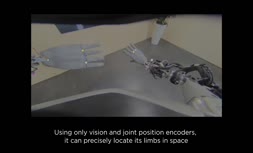 فیلم/ انجام حرکات یوگا توسط ربات شرکت تسلا