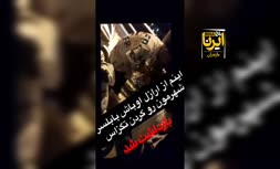 فیلم/ لحظه دستگیری شرور قمه‌کش در بابلسر