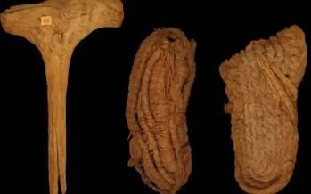 کشف قدیمی‌ترین کفش‌های اروپا,کفش باستانی در اروپا