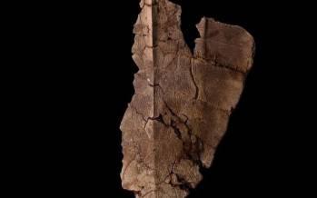 کشف یکی از قدیمی‌ترین دی‌ان‌ای‌های جهان,ردپای دی‌ان‌ای در فسیل ماقبل تاریخ یک لاک پشت دریایی