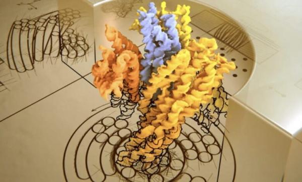 نانو توربین,ساخت نوعی نانو توربین از جنس DNA