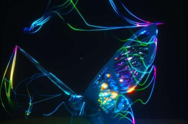 ابداع حسگری جدید با الهام از چشم پروانه برای دیدن سلول‌های سرطانی,حسگری برای رویت سلول‌های سرطانی