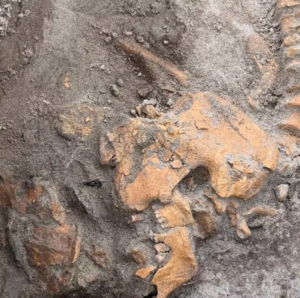 قبر باستانی در نروژ,کشف یک قبر 4 هزار ساله در نروژ با استخوان‌های سالم