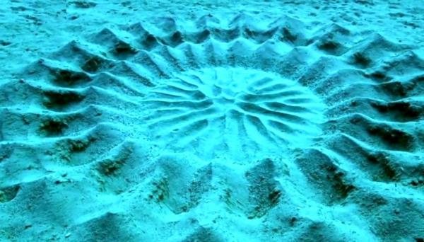 اشکال هندسی عجیب در بستر دریا,شکل های هندسی در دریا