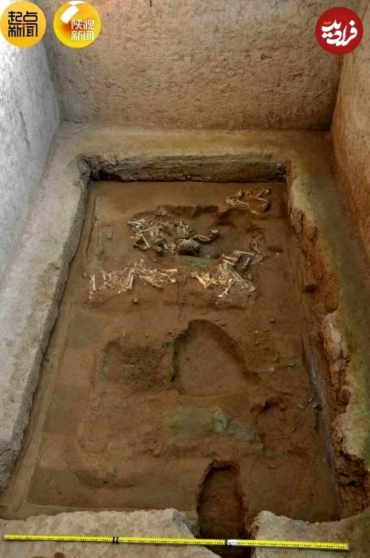 اشیا تاریخی,کشف کالسکۀ گوسفندی افسانه‌ای در یک مقبرۀ باستانی در چین