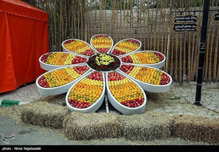 تصاویر جشنواره طعم و رنگ پاییز در مشهد,عکس های جشنواره طعم و رنگ پاییز در مشهد,تصاویری از جشنواره پاییز در مشهد