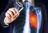 جهش در دی‌ان‌ای,سیگار کشیدن باعث بروز سرطان