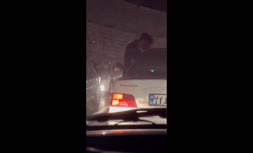 ویدیوی تکان‌دهنده از آسیب زدن به خودروها توسط اراذل و اوباش در جاده چالوس