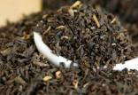 چای,آغاز ثبت سفارش برای واردات چای سریلانکا در برابر طلب نفتی