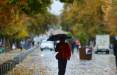 افزایش بارش‌ها در برخی نقاط کشور,بارش باران در ایران