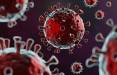 ویروس کرونا,شیوع ۳ برابری سویه جدید کرونا در آمریکا