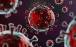 ویروس کرونا,شیوع ۳ برابری سویه جدید کرونا در آمریکا