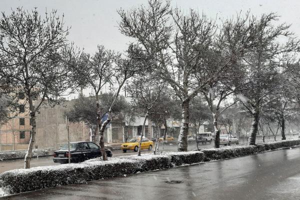 آخرین وضعیت آب و هوای کشور در دی 1402,بارش باران و برف در برخی استان‌ها