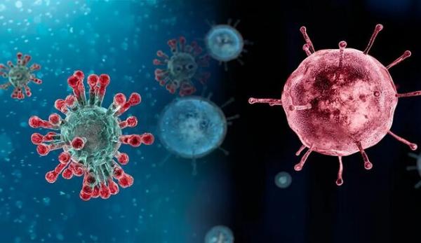 ویروس کرونا,سویه مرگبارتر از کرونا در چین