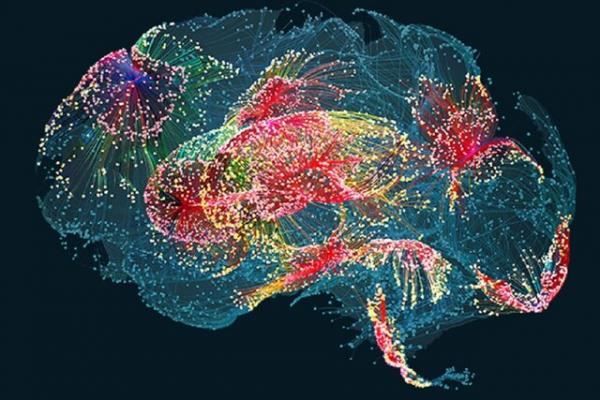 ذهن خوانی با هوش مصنوعی,رونمایی از هوش مصنوعی جدید مجهز به فناوری ذهن‌خوانی