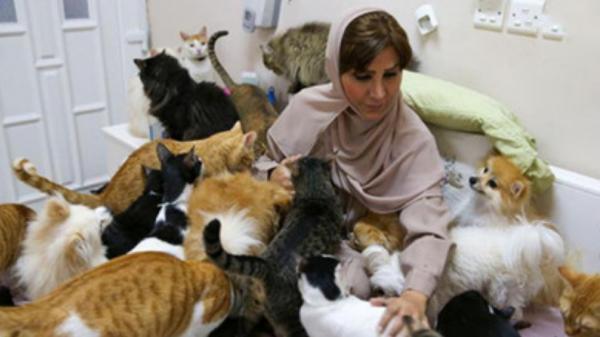 جراحی زیبایی حیوانات,صف جراحی زیبایی برای حیوانات خانگی در ایران
