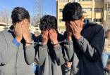 بازسازی صحنه زورگیری و قتل زن و شوهر در پارک نهج البلاغه تهران,قتل در پارک نهج‌البلاغه
