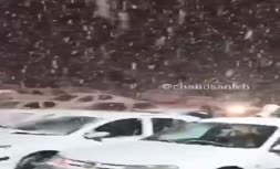 فیلم/ شادی و پایکوبی مردم پس از بارش برف در جاده چالوس