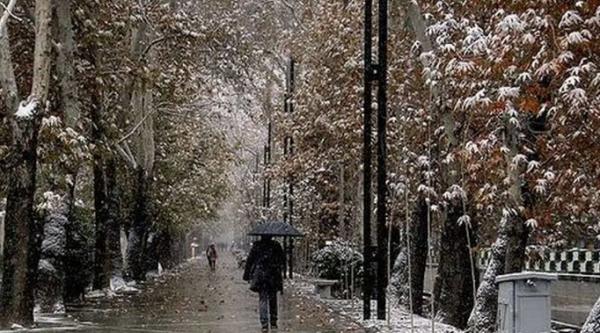 بارش برف و باران در استان‌های غربی,سازمان هواشناسی