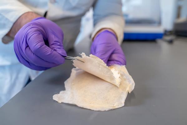 پانسمان,ساخت پانسمان نابودگر باکتری بدون آنتی‌بیوتیک توسط دانشمند ایرانی