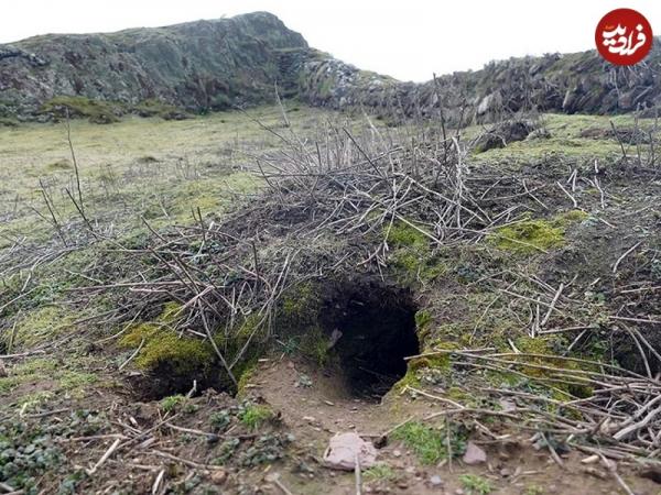 کشفیات جدید در ولز,کشف غیرمنتظرۀ ابزار 9 هزارساله در لانۀ خرگوش‌های وحشی