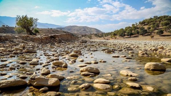 رودخانه اترک,واکنش ها به خشک شدن رودخانه اترک