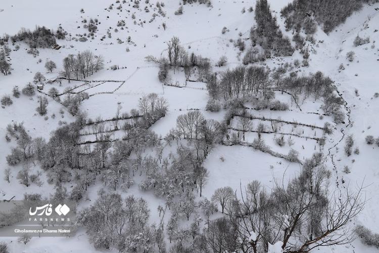 تصاویر چهره برفی کوهستان چالوس,تصاویر براش برف در چالوس,تصاویر بارش برف در شمال ایران