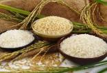 برنج هندی,افزایش ۱۵۰۰ درصدی سم آرسنیک در برنج هندی